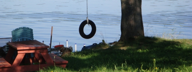 maine lakeside car tire tree swing